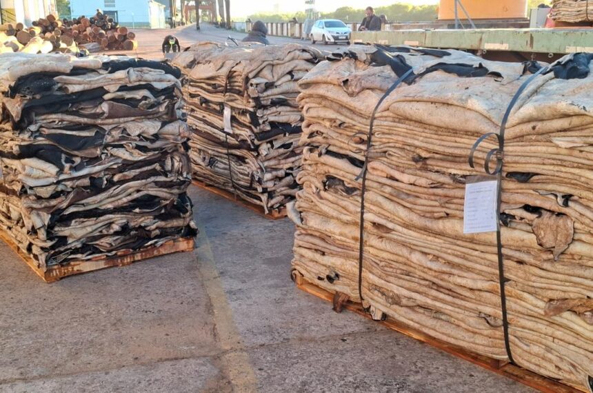 cuero exportacion chaco