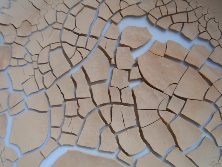 Arcilla rica en esmectita