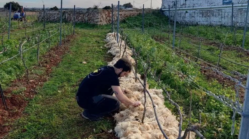 LANA EN SUELOS AGRICOLAS