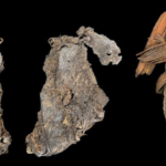 OBJETO COSIDO MAS ANTIGUO DEL MUNDO