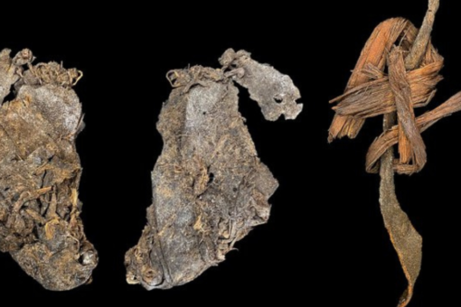 OBJETO COSIDO MAS ANTIGUO DEL MUNDO