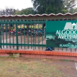 PLANTA DE ALGODONERA AVELLANEDA