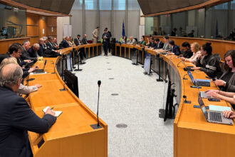 LA UNION EUROPEA DEBATE POR EL CUERO Y LA DEFORESTACION