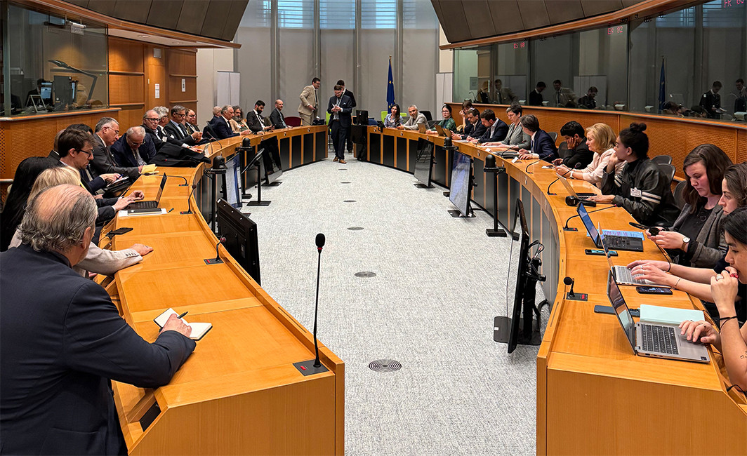 LA UNION EUROPEA DEBATE POR EL CUERO Y LA DEFORESTACION