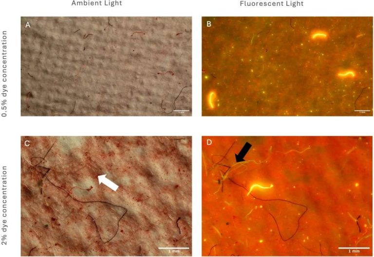 MICROFIBRAS TEXTILES FLUORESCENTES PARA DETECTAR LA CONTAMINACION TEXTIL