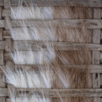 MUESTRA Argentina donde el paisaje se vuelve cuero