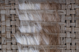 MUESTRA Argentina donde el paisaje se vuelve cuero