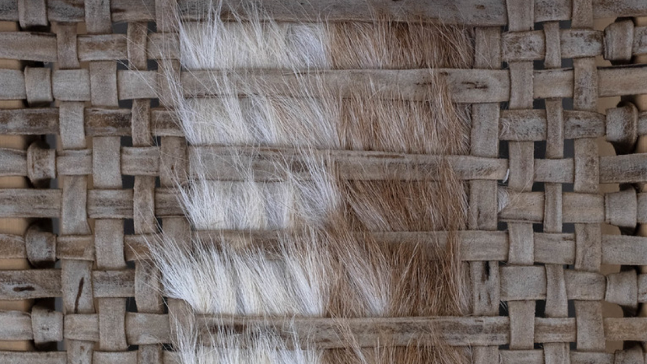 MUESTRA Argentina donde el paisaje se vuelve cuero