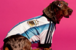ADIDAS LANZA UNA NUEVA COLECCION DE CAMISETAS DE LA SELECCION ARGENTINA DE FUTBOL PARA MASCOTAS