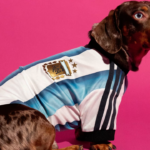 ADIDAS LANZA UNA NUEVA COLECCION DE CAMISETAS DE LA SELECCION ARGENTINA DE FUTBOL PARA MASCOTAS