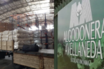ALGODONERA AVELLANEDA REACTIVA DOS PLANTAS EN EL INTERIOR DEL PAIS