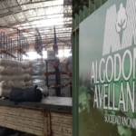 ALGODONERA AVELLANEDA REACTIVA DOS PLANTAS EN EL INTERIOR DEL PAIS
