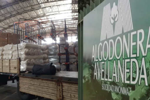 ALGODONERA AVELLANEDA REACTIVA DOS PLANTAS EN EL INTERIOR DEL PAIS