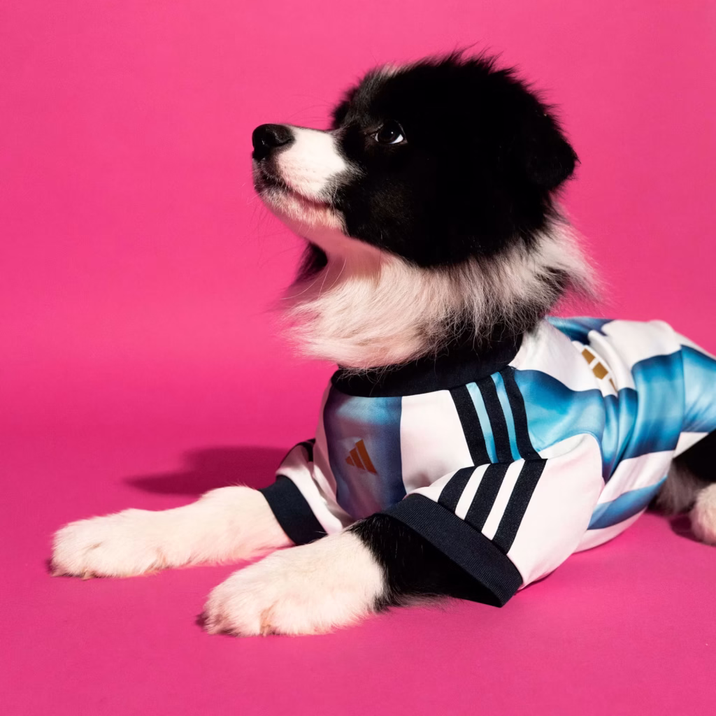 NUEVA CAMISETA DE LA SELECCION ARGENTINA ADIDAS PARA MASCOTAS