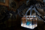 LA SUBASTA DEL BOLSO DE LUJO DE PIEL DE DINOSAURIO T REX FRACASA Y SE QUEDA SIN COMPRADOR EN PARIS