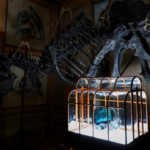 LA SUBASTA DEL BOLSO DE LUJO DE PIEL DE DINOSAURIO T REX FRACASA Y SE QUEDA SIN COMPRADOR EN PARIS