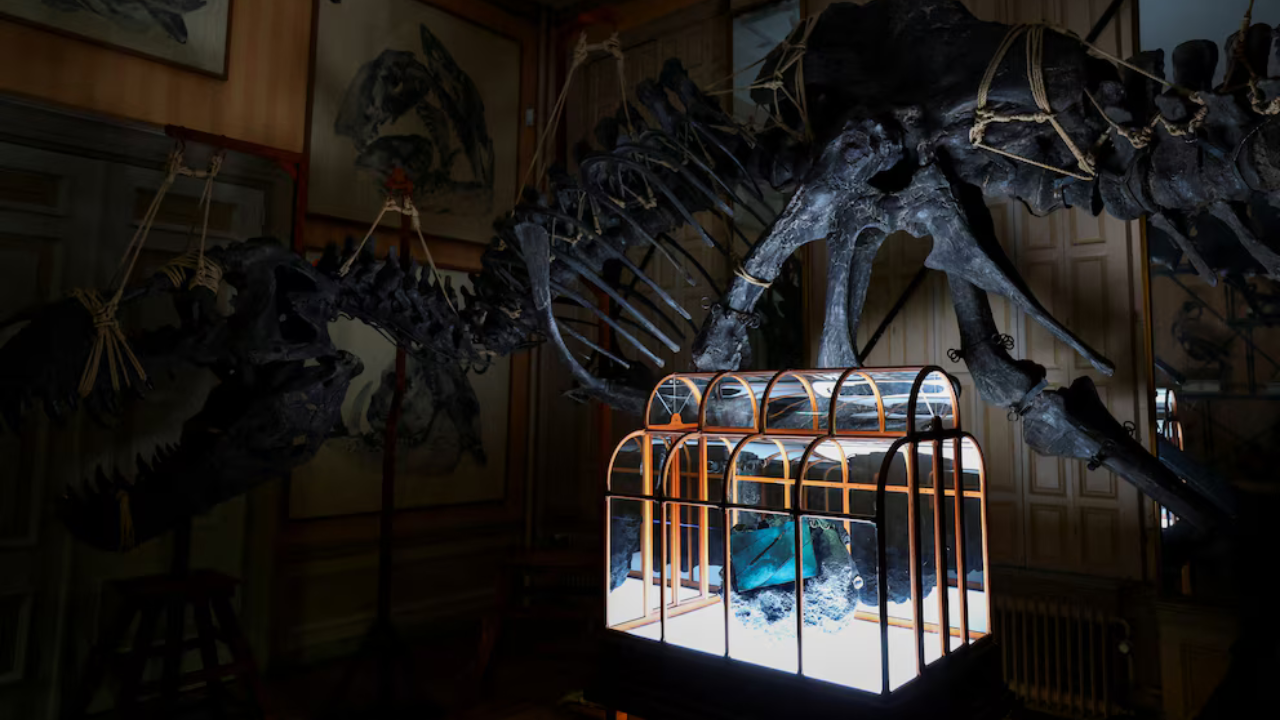 LA SUBASTA DEL BOLSO DE LUJO DE PIEL DE DINOSAURIO T REX FRACASA Y SE QUEDA SIN COMPRADOR EN PARIS