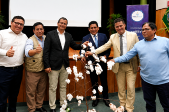 PERU PRESENTA UNA NUEVA FIBRA TEXTIL DE ALGODON QUE APUESTA A LA PRODUCCION TEXTIL PERUANA