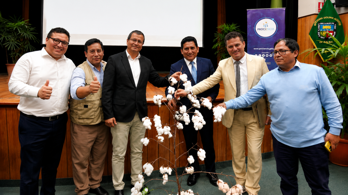 PERU PRESENTA UNA NUEVA FIBRA TEXTIL DE ALGODON QUE APUESTA A LA PRODUCCION TEXTIL PERUANA