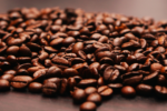 PIEL DE CAFE EL INNOVADOR EMPRENDIMIENTO QUE RECICLA EL RESIDUO DE CAFE PARA CREAR UN TEXTIL SIMILAR AL CUERO
