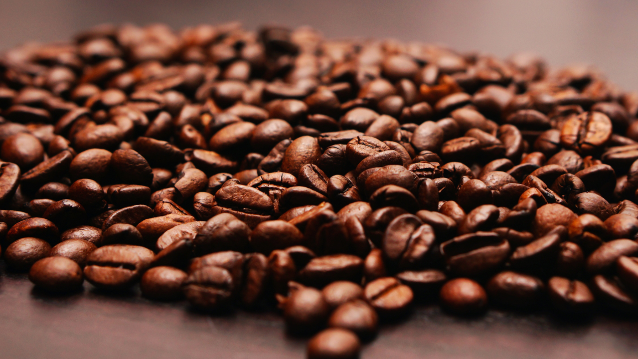 PIEL DE CAFE EL INNOVADOR EMPRENDIMIENTO QUE RECICLA EL RESIDUO DE CAFE PARA CREAR UN TEXTIL SIMILAR AL CUERO