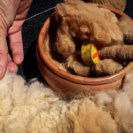 La fibra de vicuña supera los 330 dólares por kilo y potencia el mercado textil de lujo en Perú