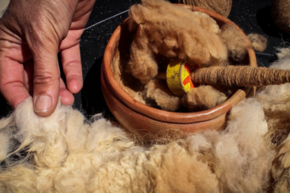 La fibra de vicuña supera los 330 dólares por kilo y potencia el mercado textil de lujo en Perú