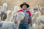 Perú lleva la alpaca a Madrid para impulsar su presencia en la moda internacional