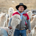Perú lleva la alpaca a Madrid para impulsar su presencia en la moda internacional