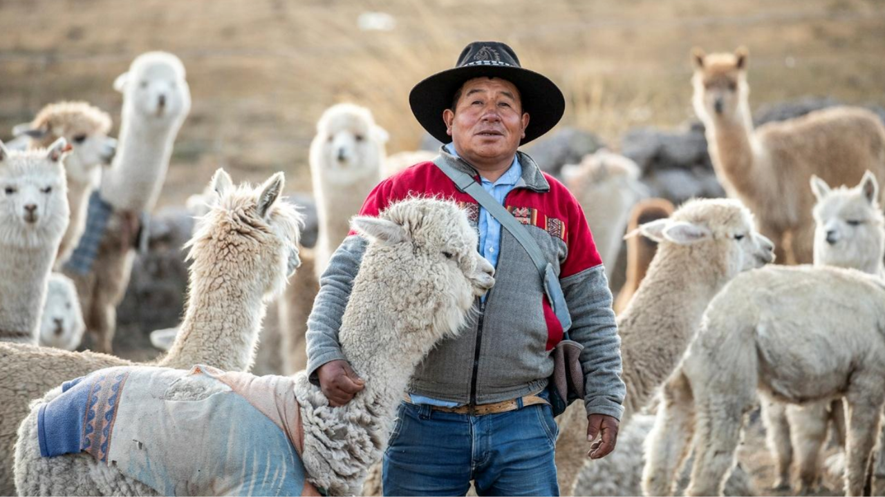 Perú lleva la alpaca a Madrid para impulsar su presencia en la moda internacional