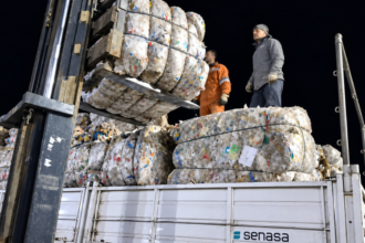 Río Negro concretó la primera exportación de lana sucia ovina a Uruguay para la industria textil