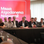 Algodón argentino una nueva genética logró rindes 70% superiores a la media nacional