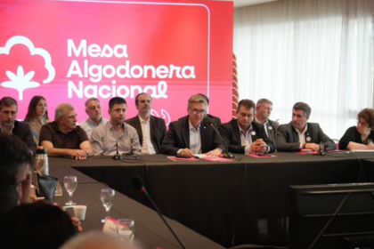 Algodón argentino una nueva genética logró rindes 70% superiores a la media nacional