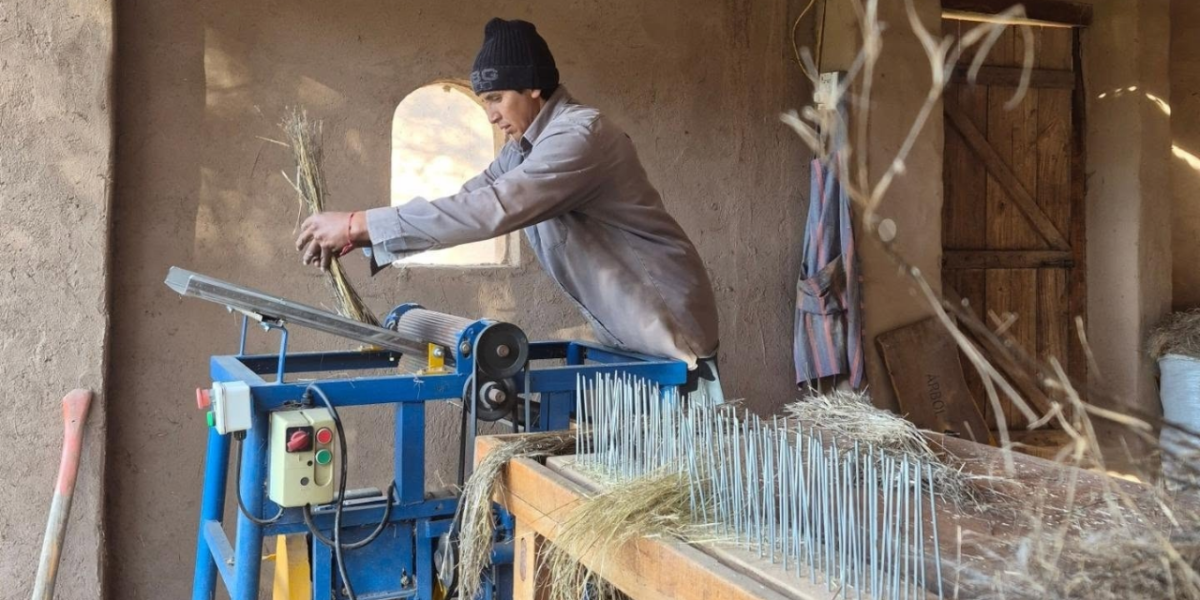 Un emprendimiento comunitario de Salta recibió US$5.000 para recuperar la producción del lino textil regional
