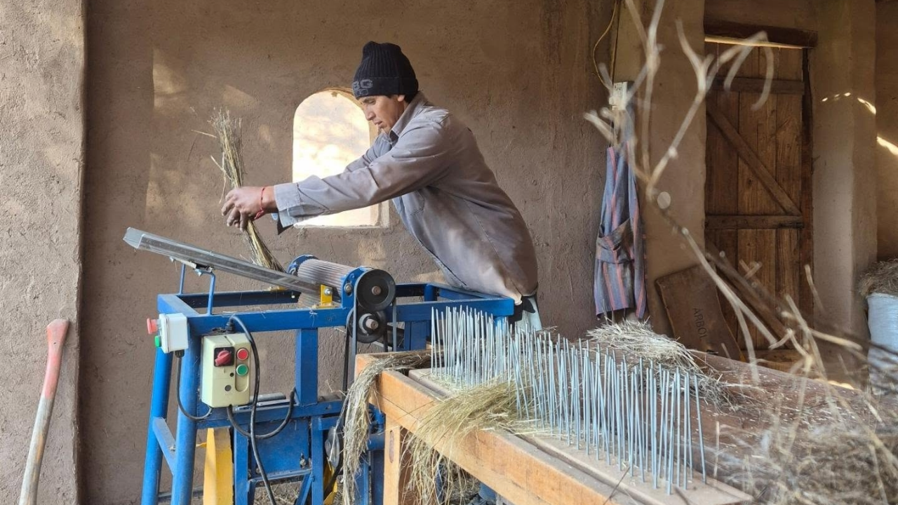 Un emprendimiento comunitario de Salta recibió US$5.000 para recuperar la producción del lino textil regional